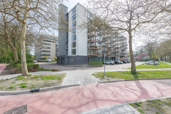 Hoofdafbeelding Kaap Hoorn 42