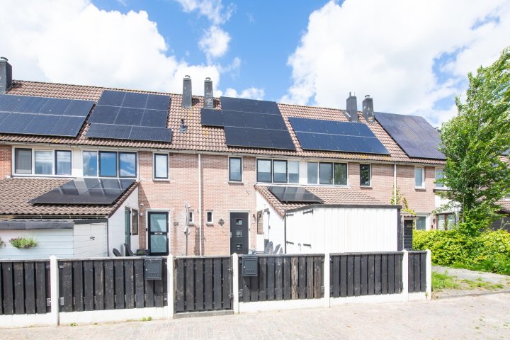 Hoofdafbeelding Verfmolen 67