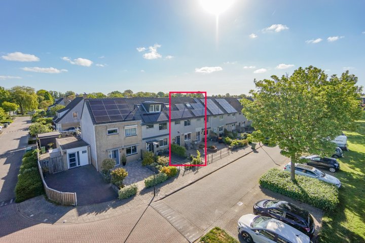 Hoofdafbeelding Zeeschildpad 48