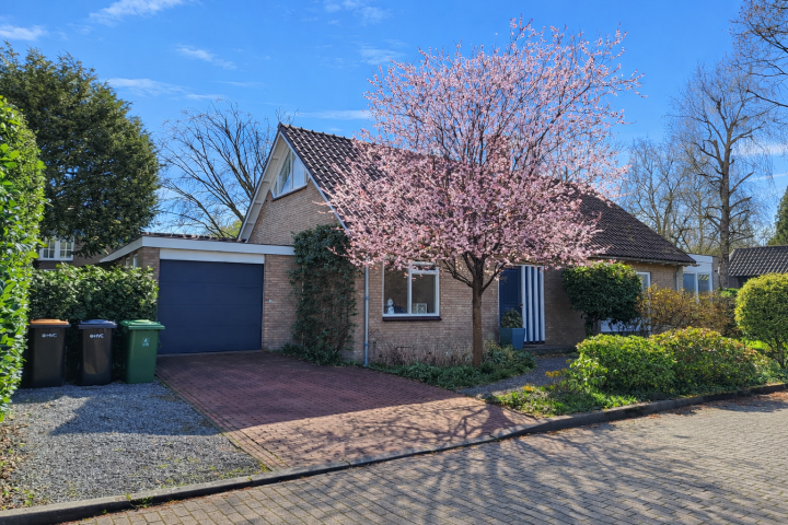 Hoofdafbeelding Louise de Colignylaan 7