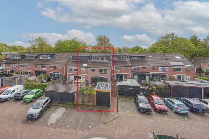 Hoofdafbeelding Sfeen 12